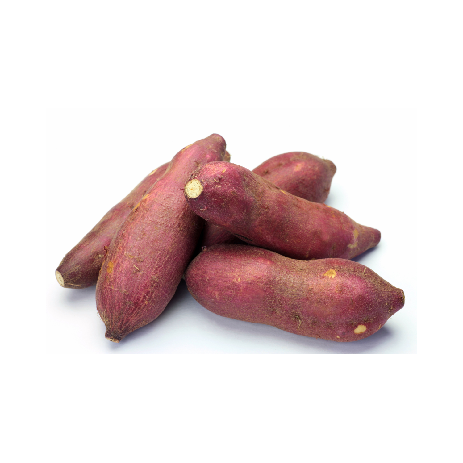SWEET POTATO RED
