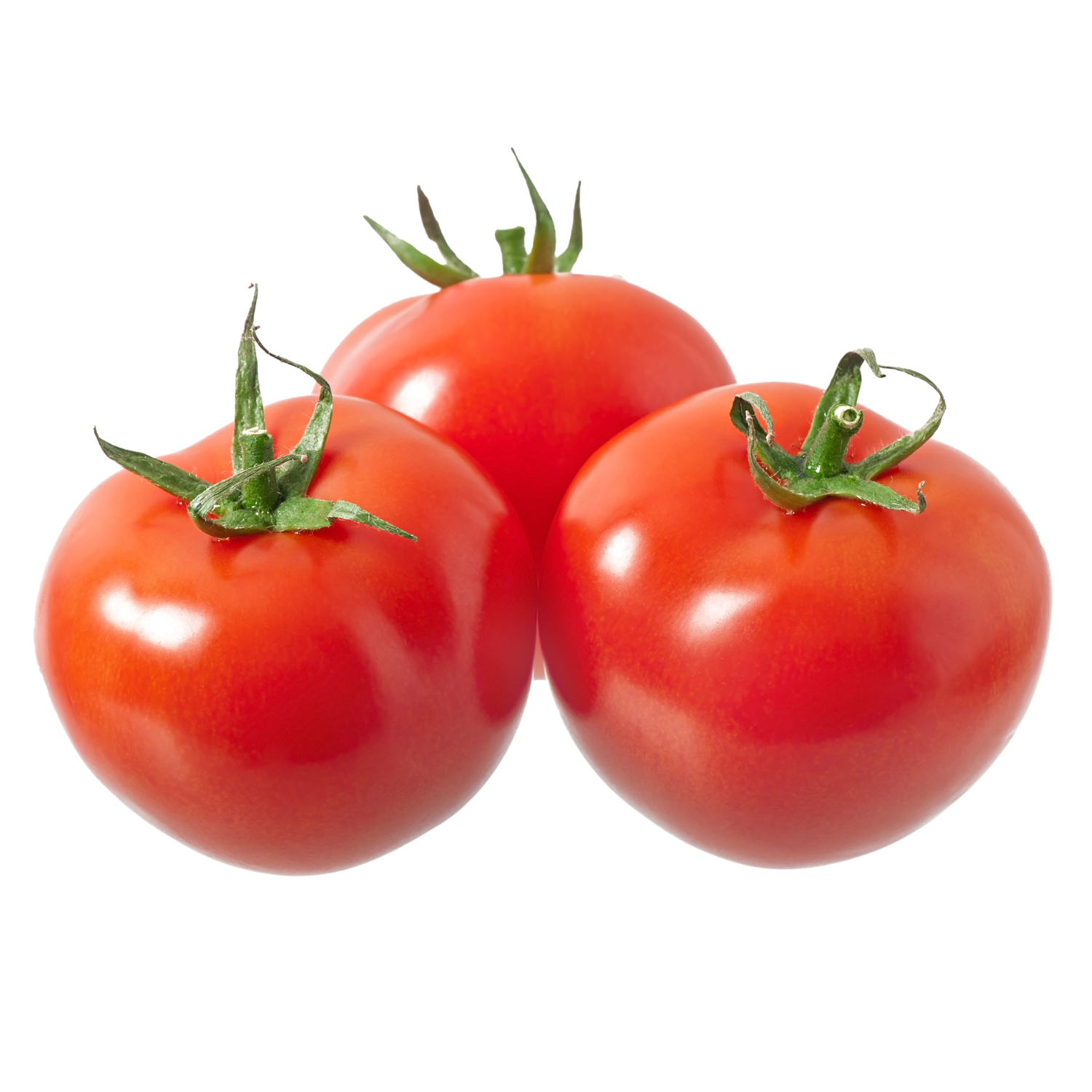 TOMATO SALAD LOFAM