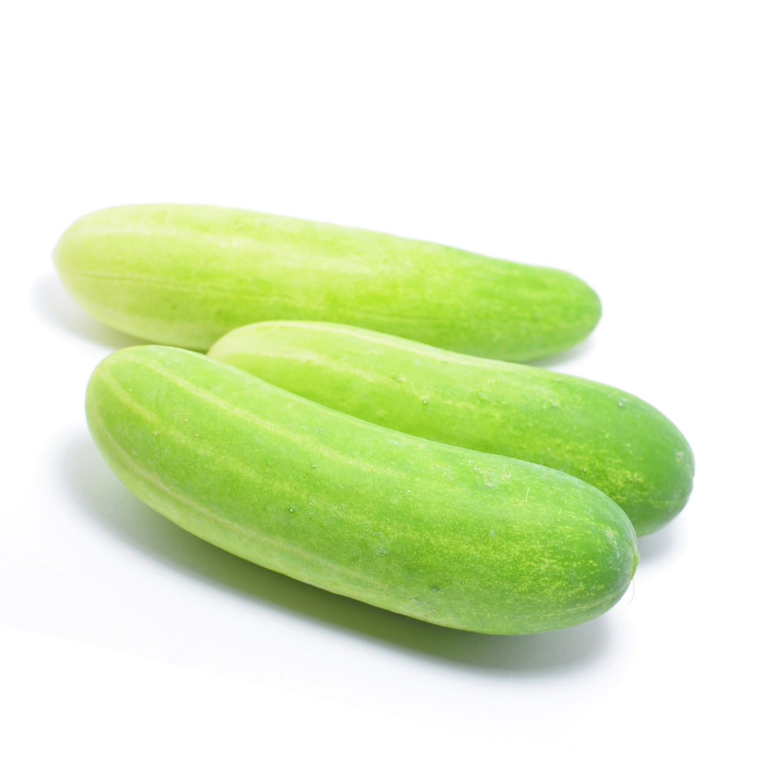 CUCUMBER HYBRID LOFAM
