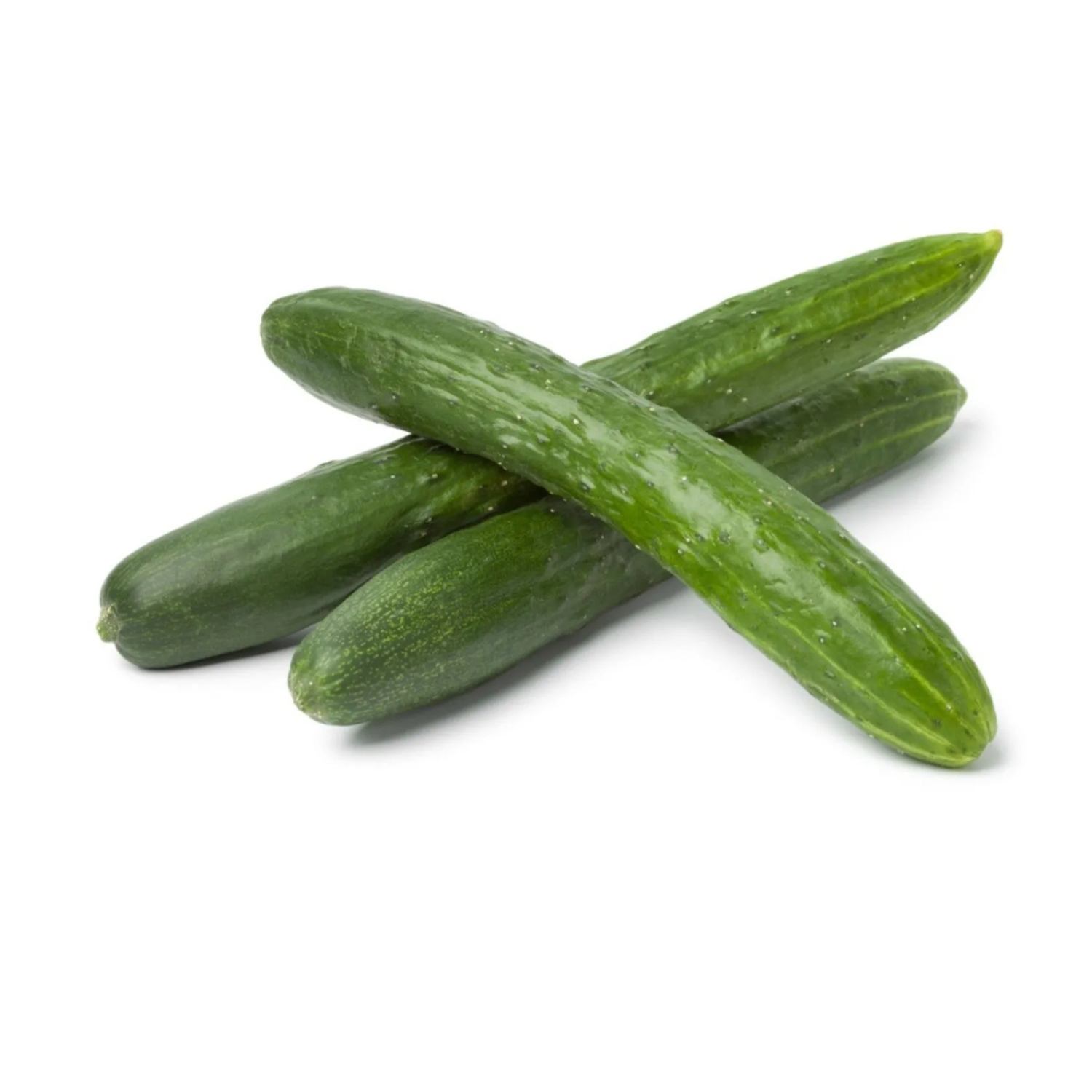 CUCUMBER JAPANESE  LOFAM