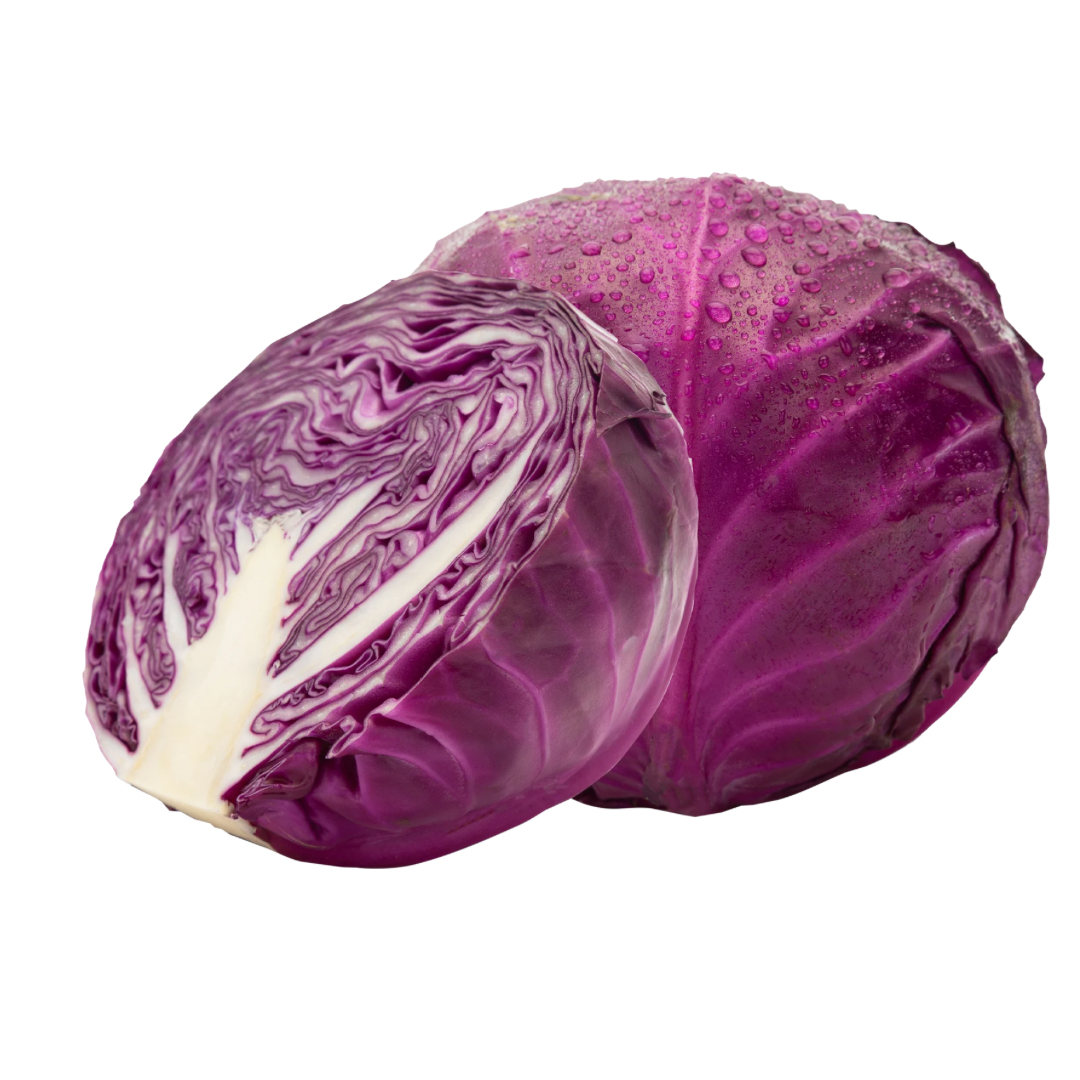 RED CABBAGE LOFAM