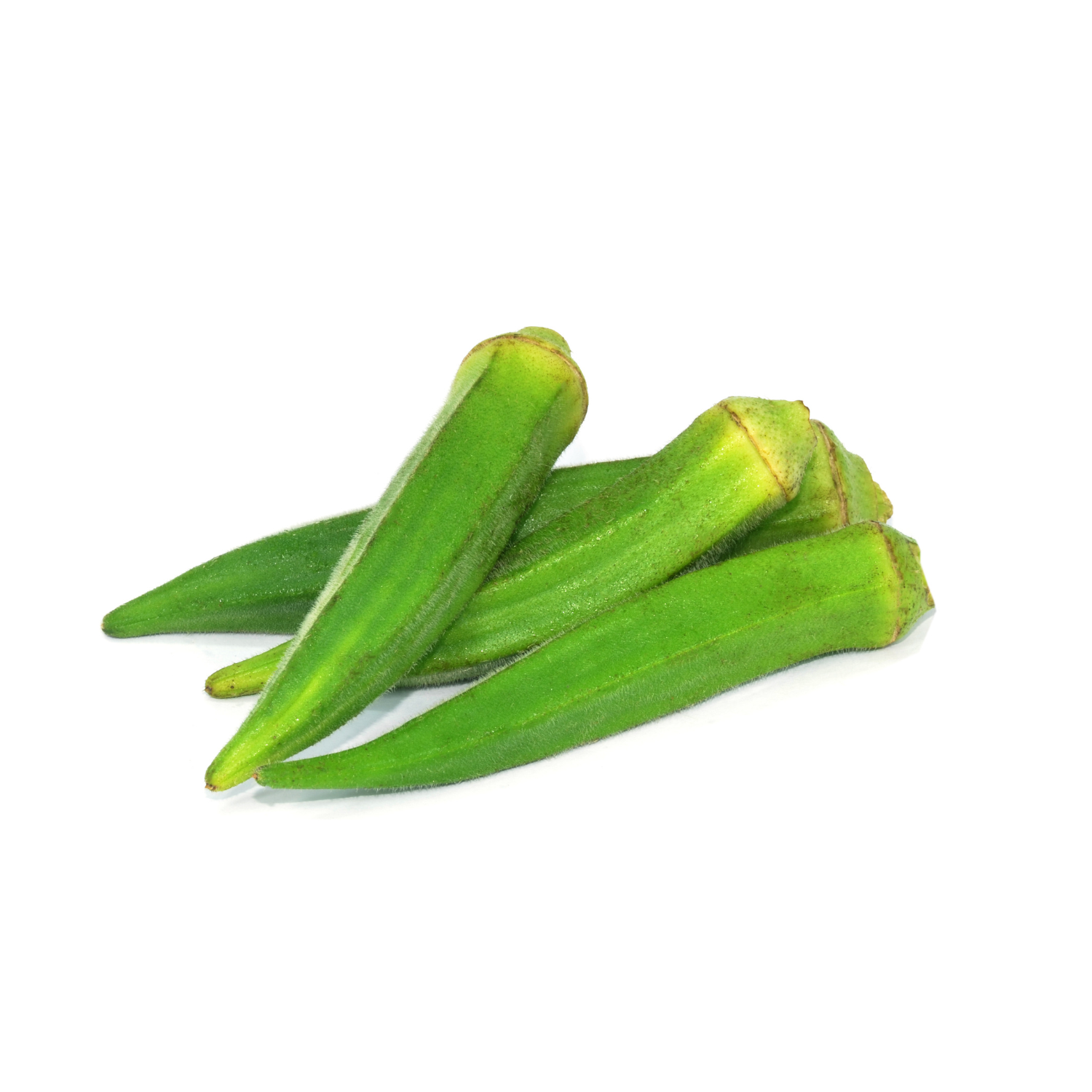 OKRA LOFAM
