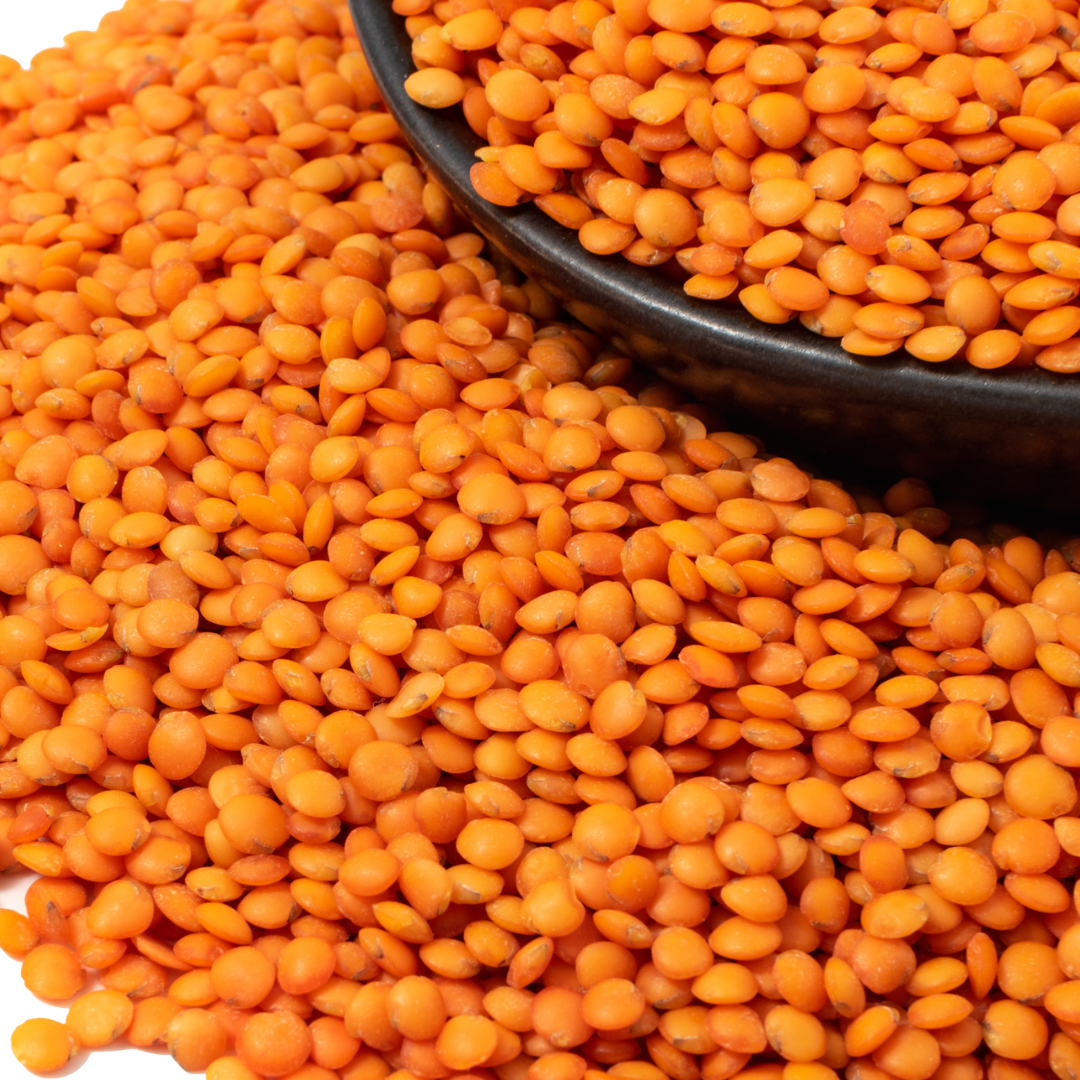 MASURO DAAL