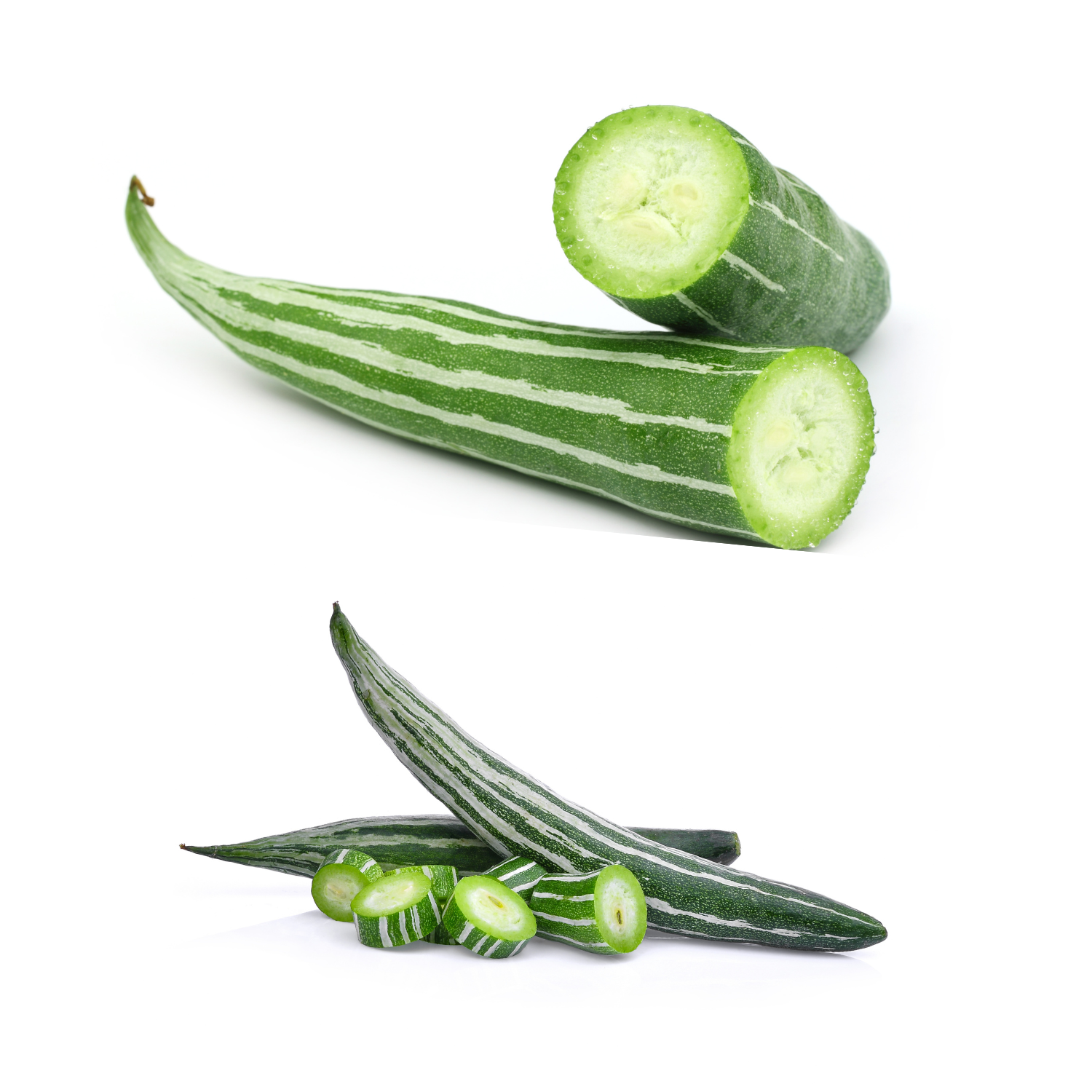 SNAKE GOURD LOFAM