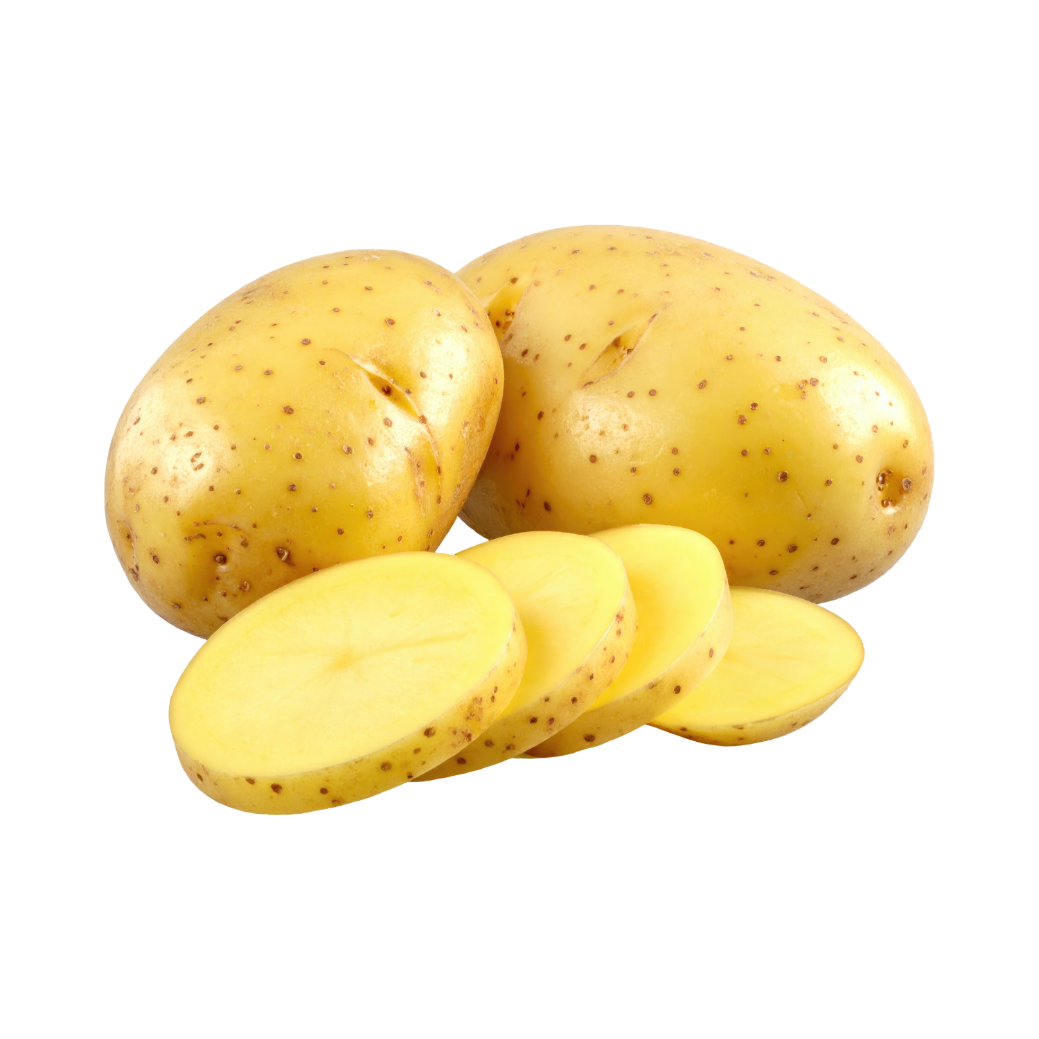 WHITE POTATO LOFAM SELECT