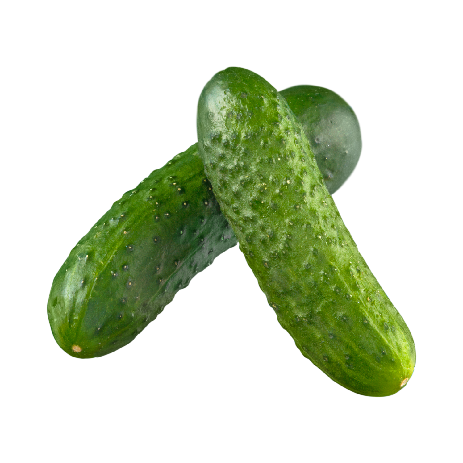 CUCUMBER LOCAL LOFAM