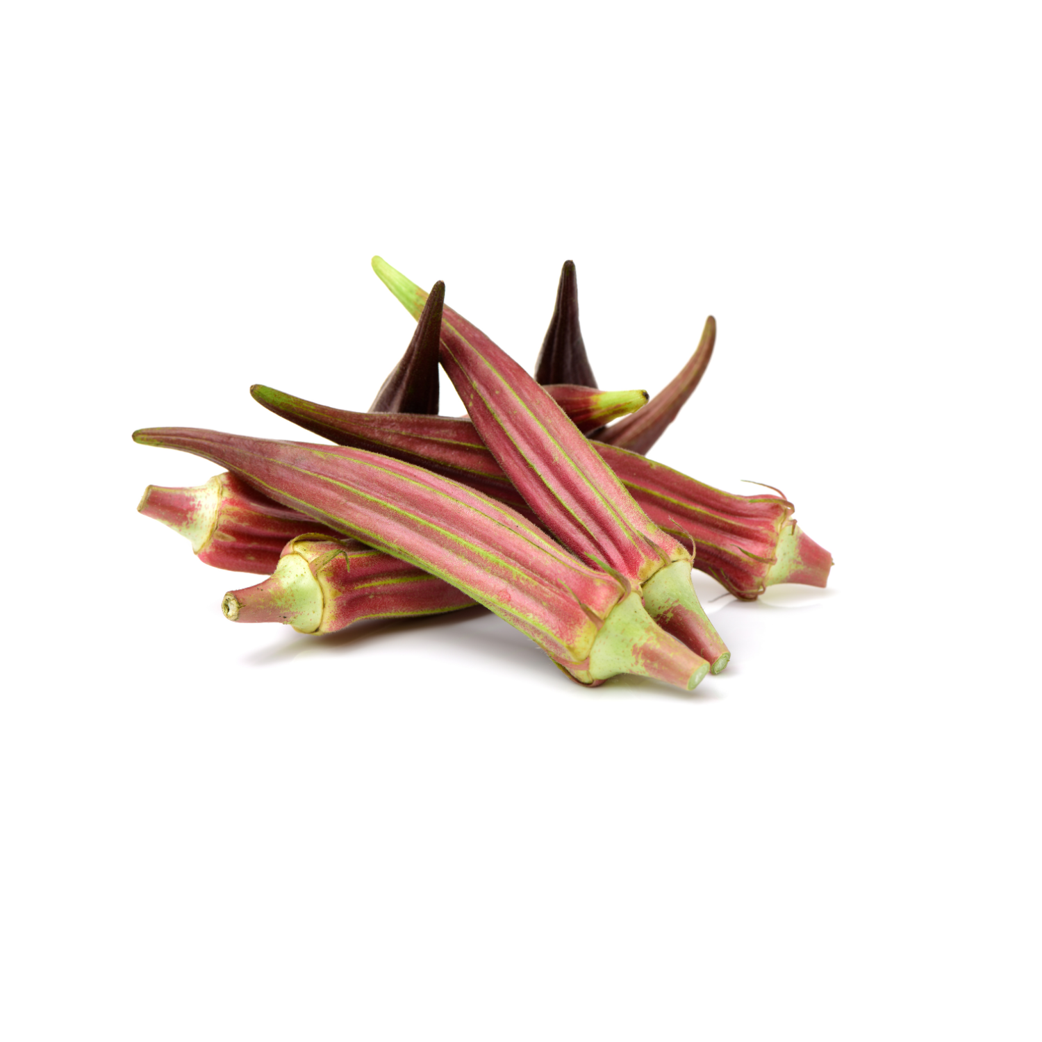 PURPLE OKRA LOFAM