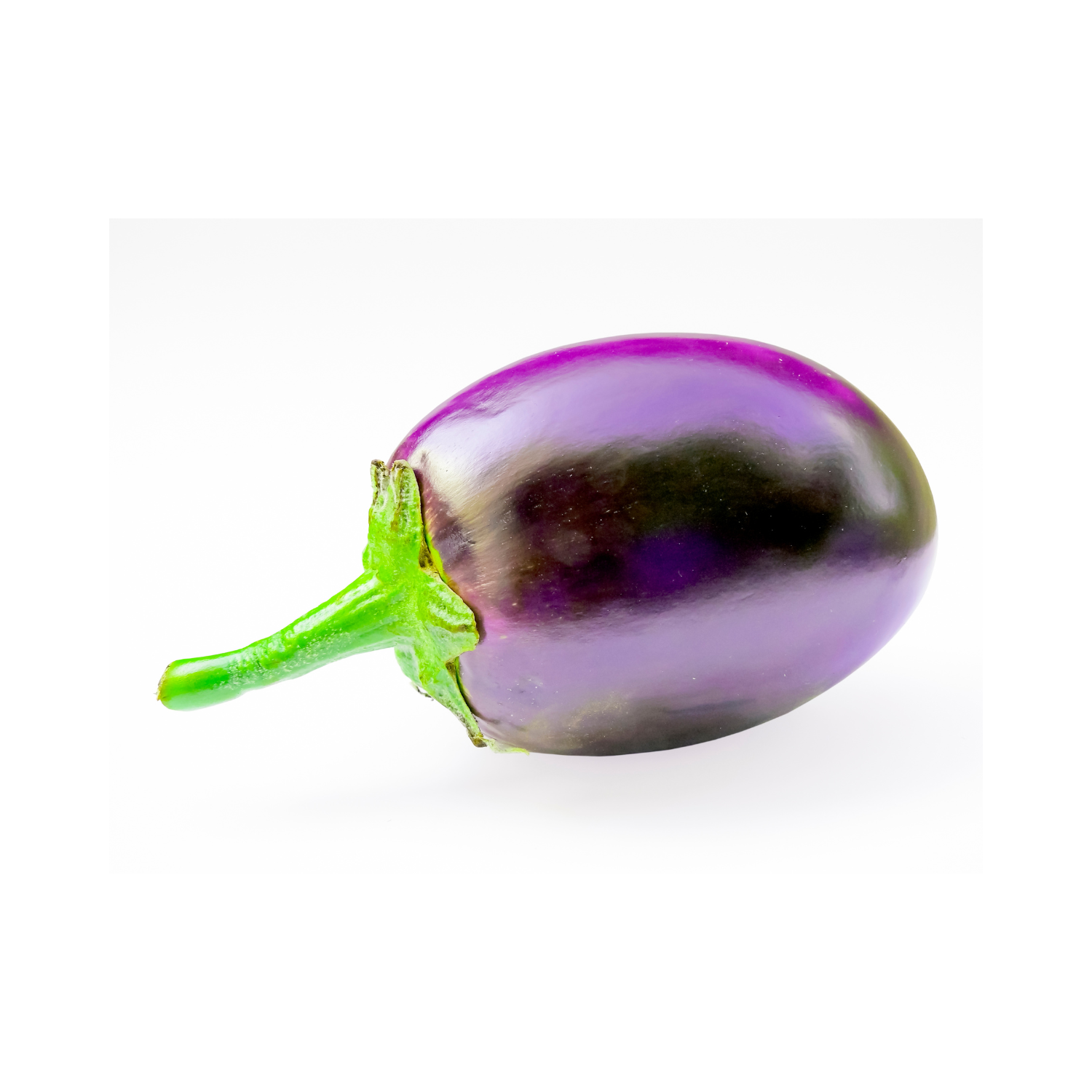 BRINJAL ROUND B LOFAM