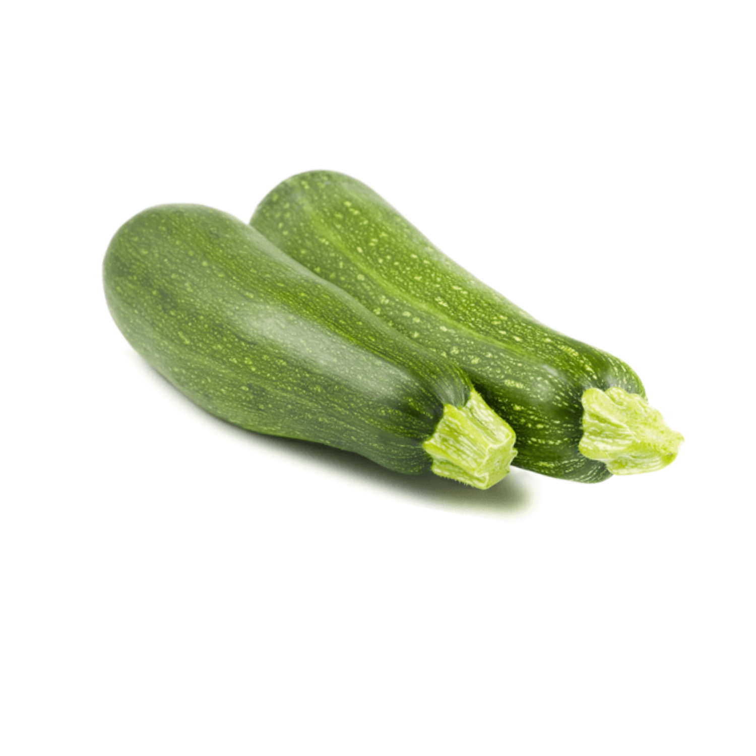 ZUCCHINI GREEN LOFAM