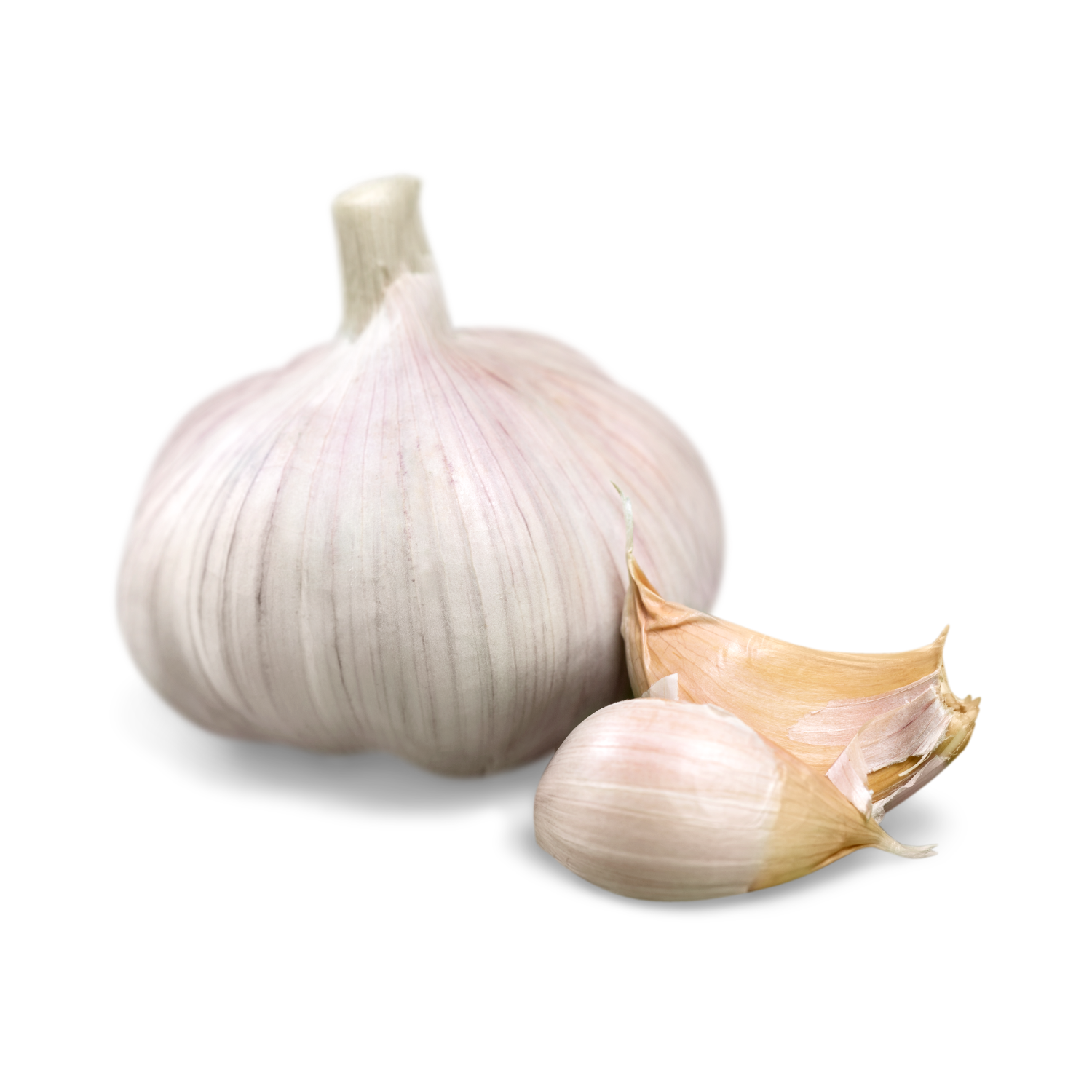LOCAL GARLIC