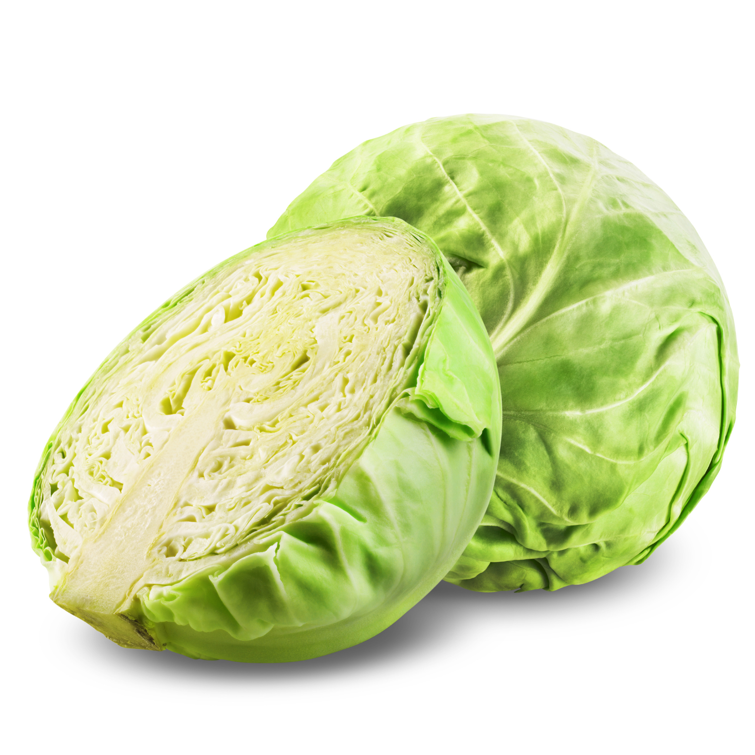 CABBAGE GREEN LOFAM