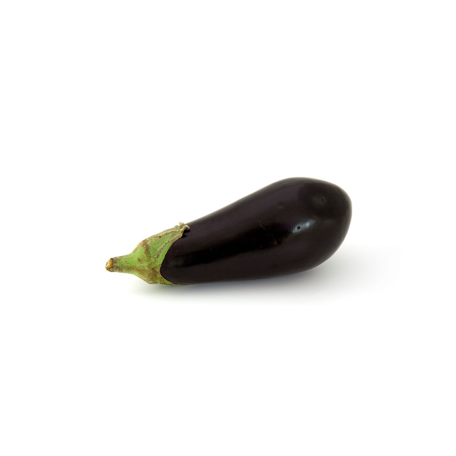 BRINJAL LONG BLACK LOFAM