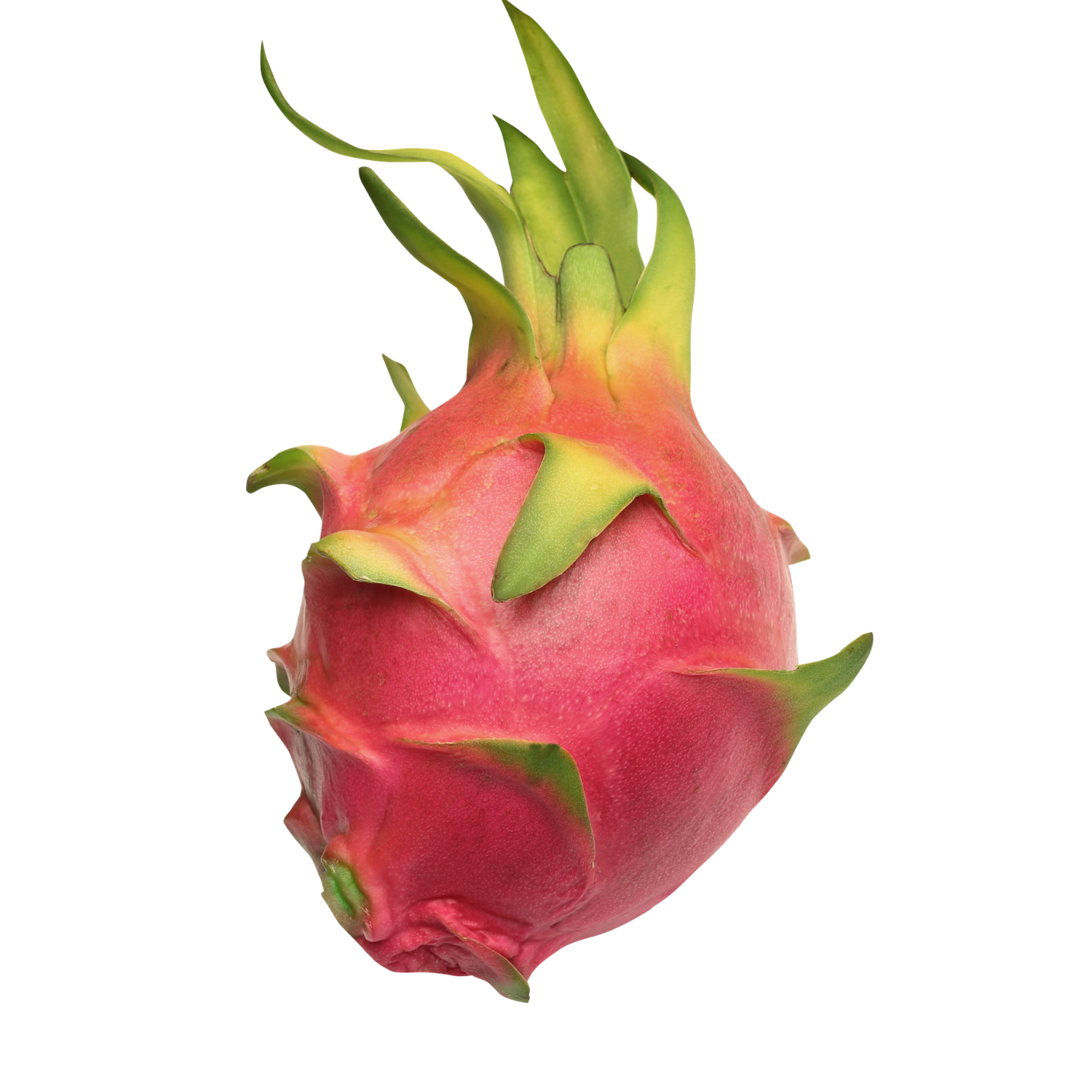 DRAGON FRUITS
