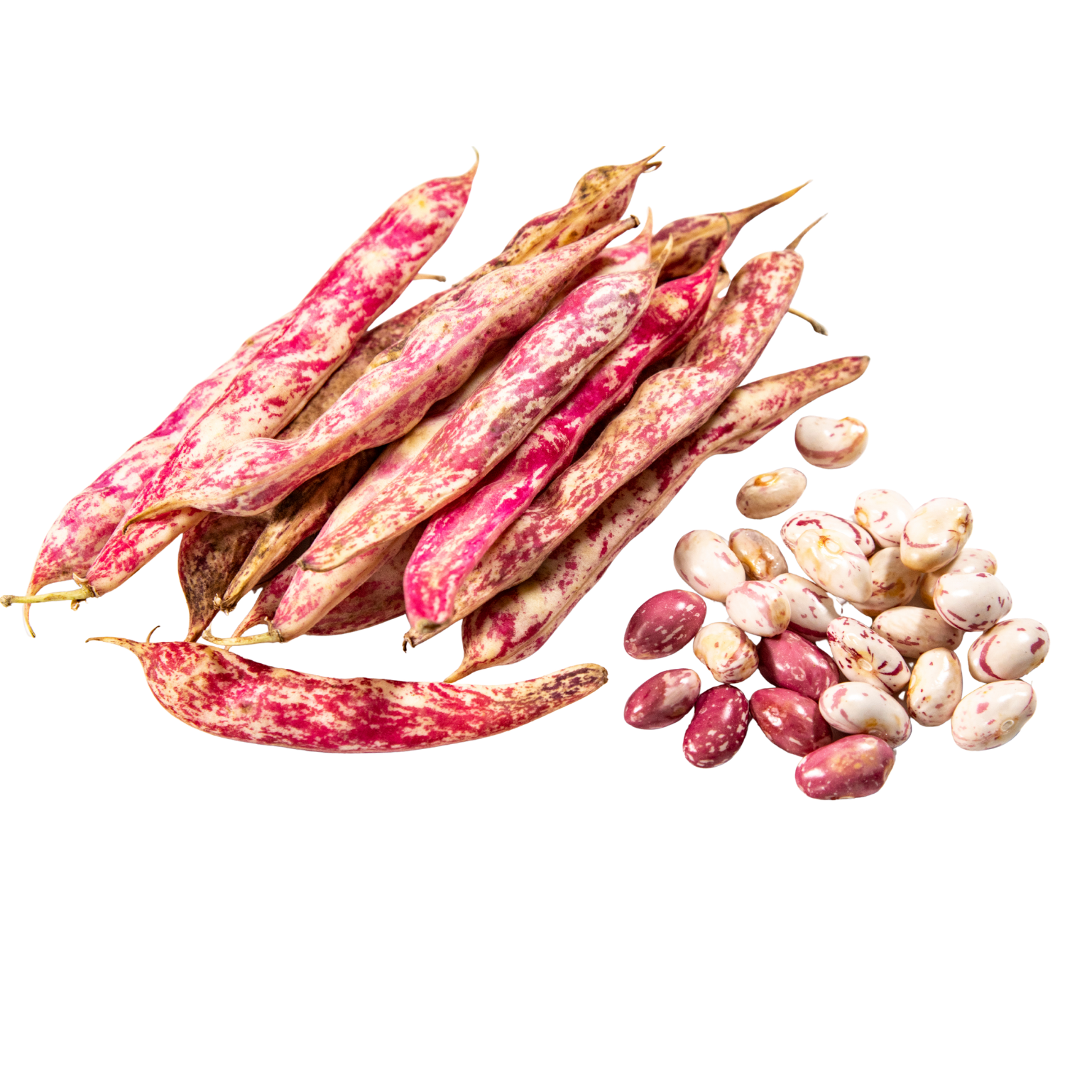 RAJMA KOSHA ( KIDNEY BEANS) 