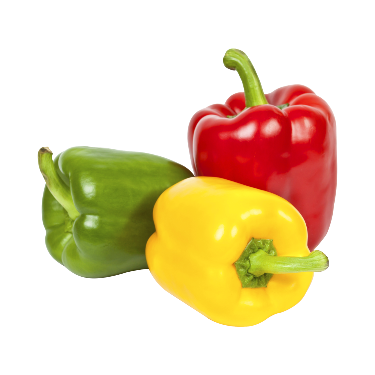 LOFAM COLOR CAPSICUM