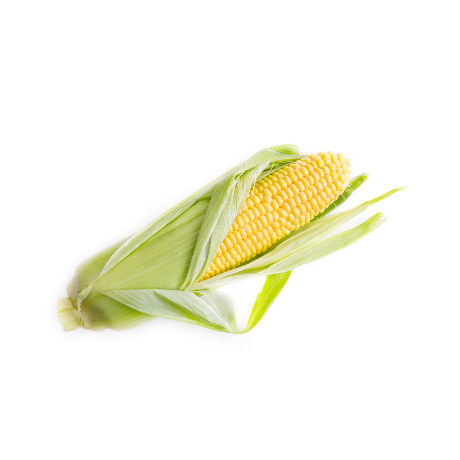 GREEN CORN 