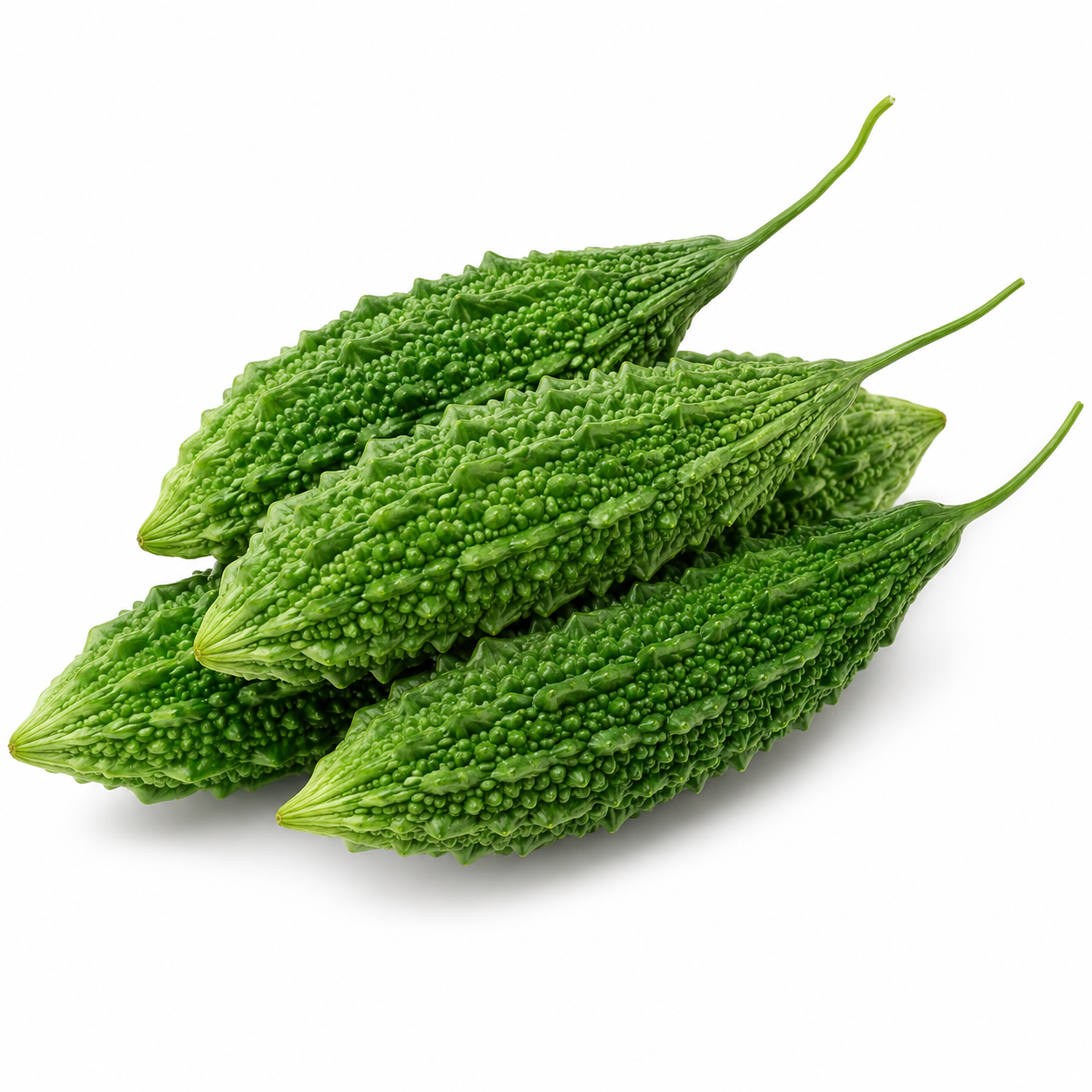 BITTER GOURD LOFAM
