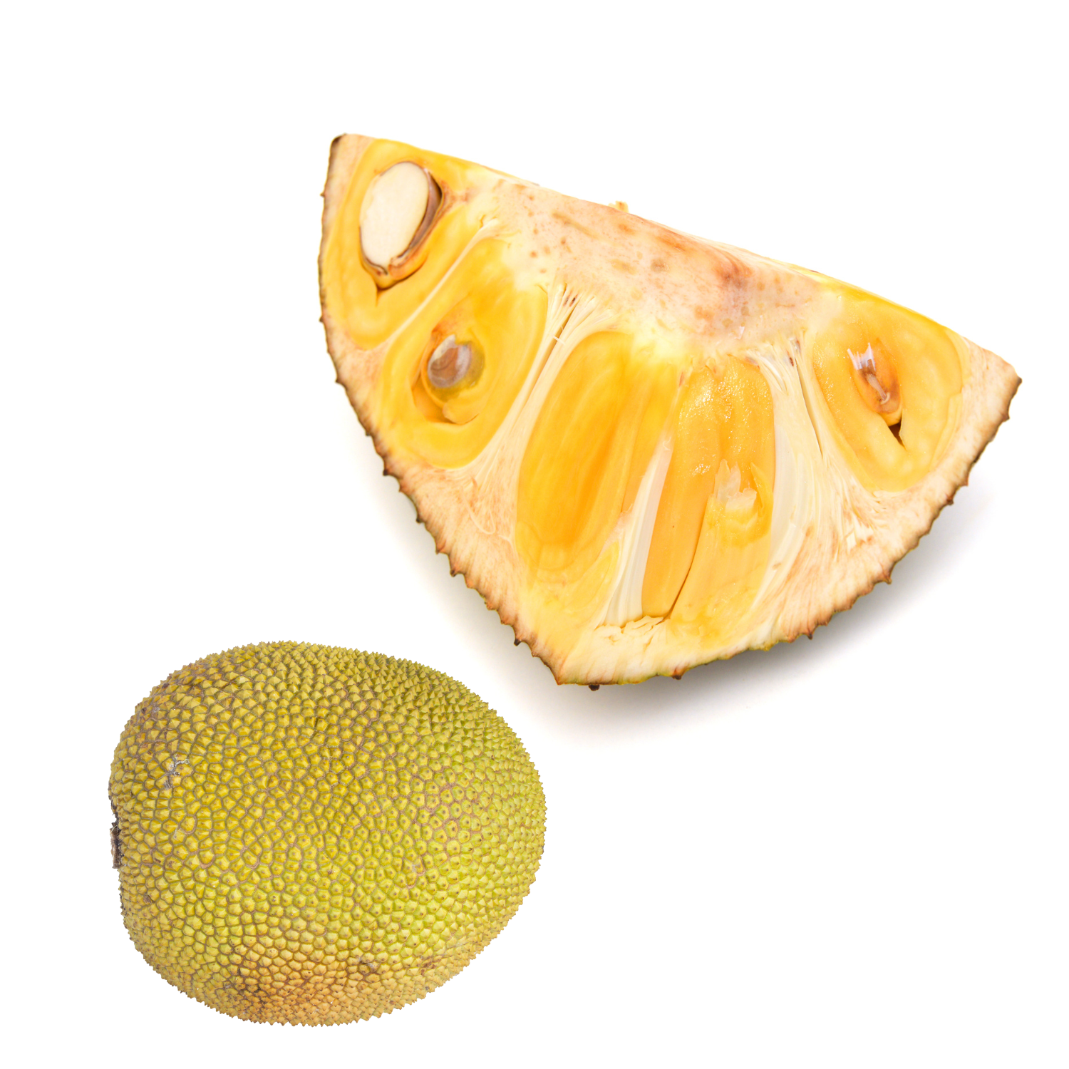 JACKFRUIT