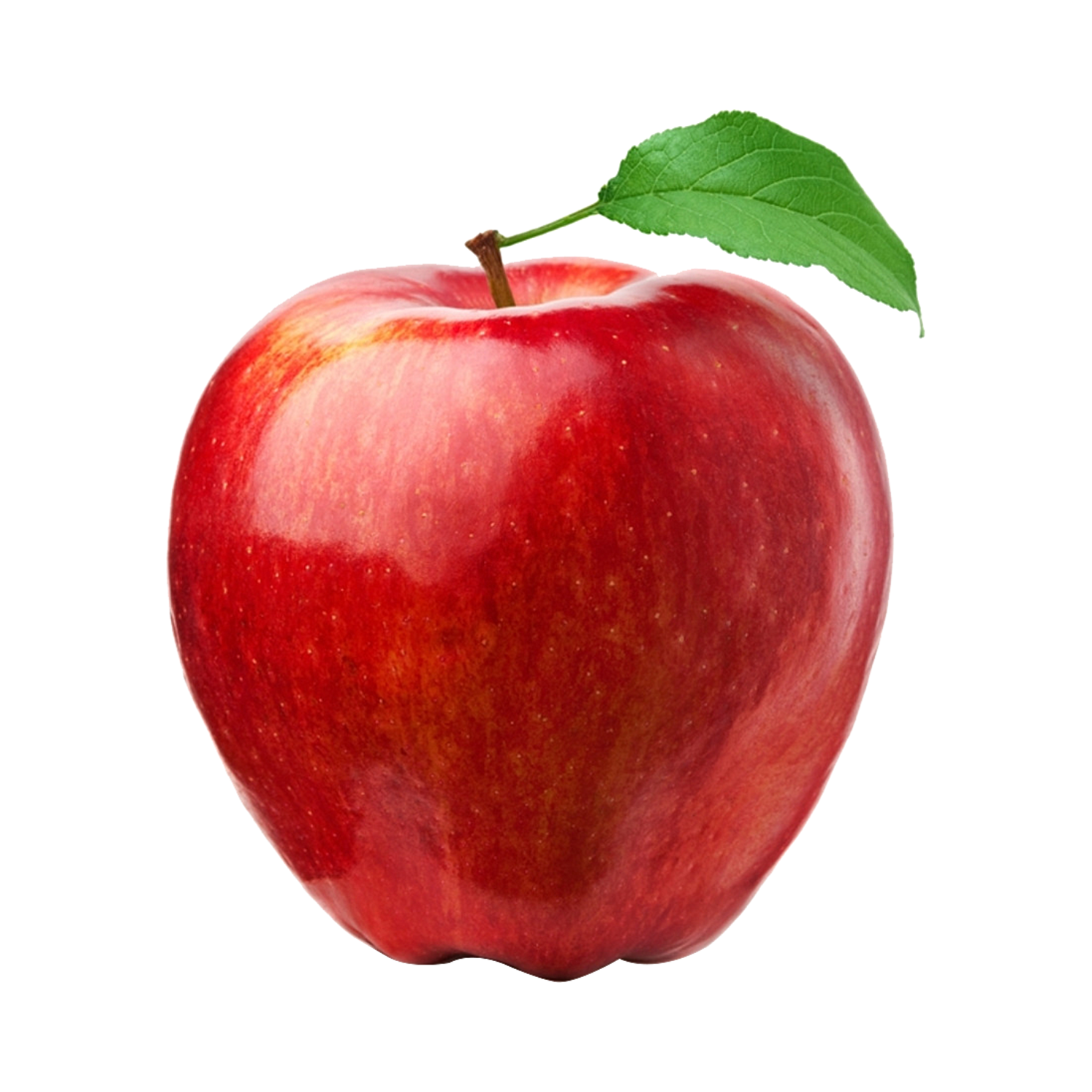 APPLE FUJI