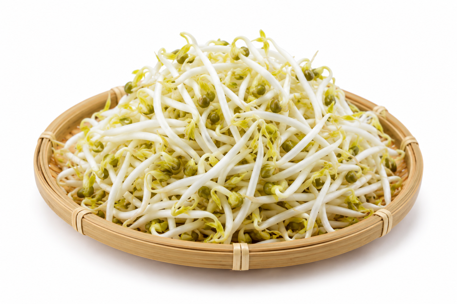 SOYABEAN SPROUT