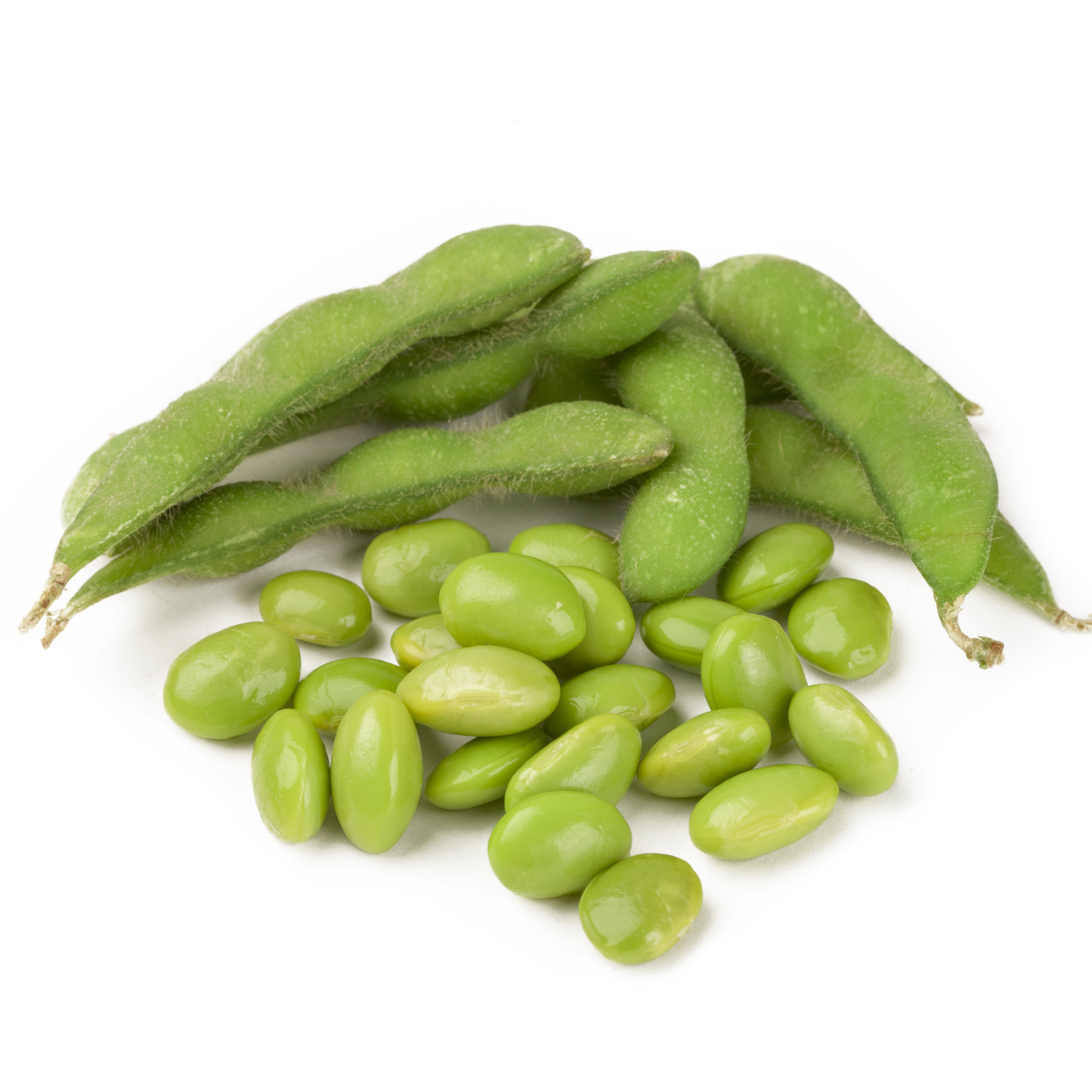 GREEN BHATMAS
